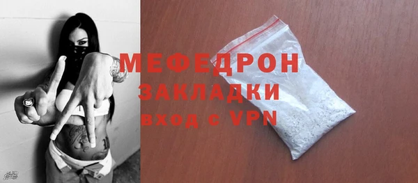 сатива Беломорск