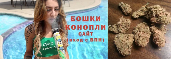 сатива Беломорск