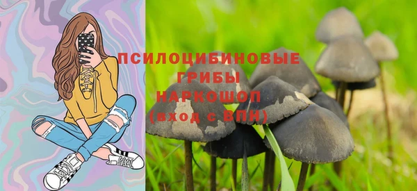 сатива Беломорск