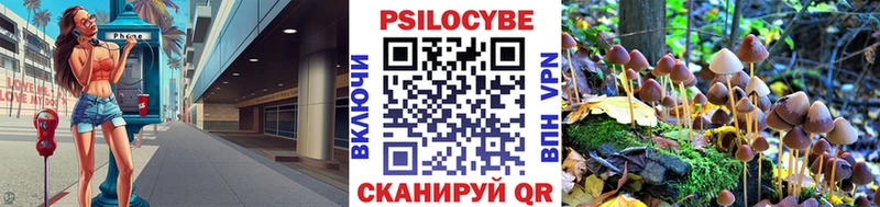 Псилоцибиновые грибы ЛСД  Купино 